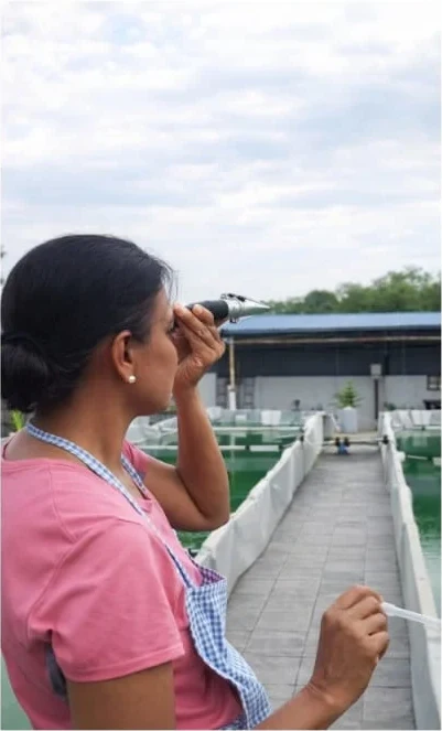 Padma KS checking the spirulina ponds at the farm