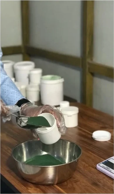 Spirulina powder being packed by hand into jars